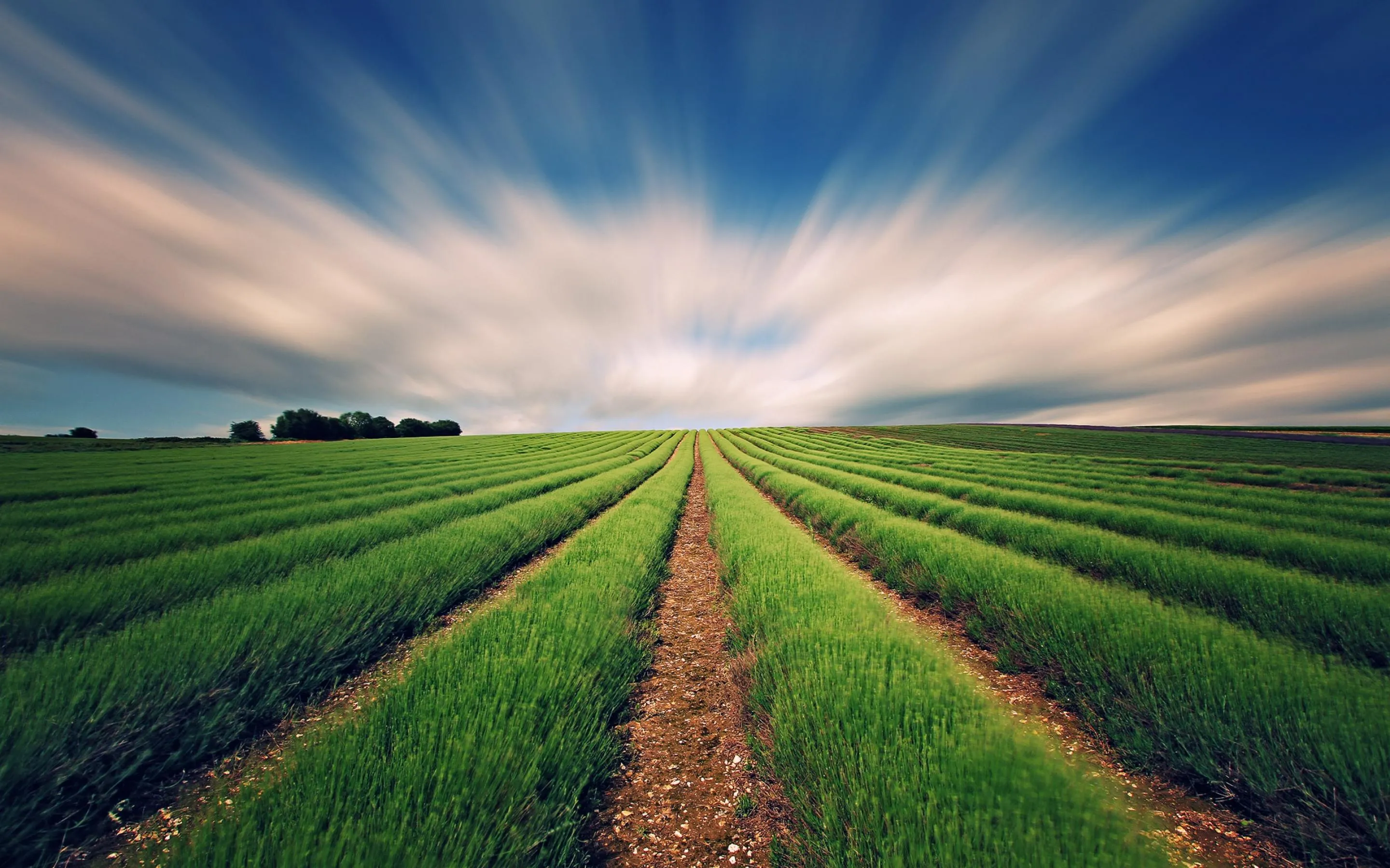 Agricultural Land